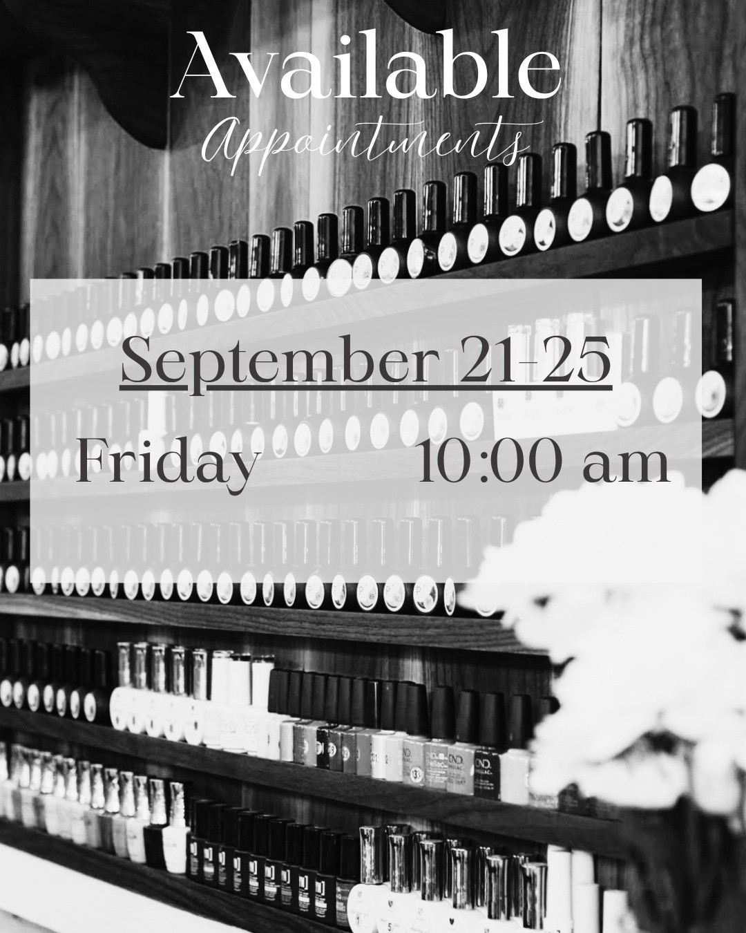 Only one appointment left this week! I'm open this Friday at 10:00 AM. Send a message or book online to secure the slot!
