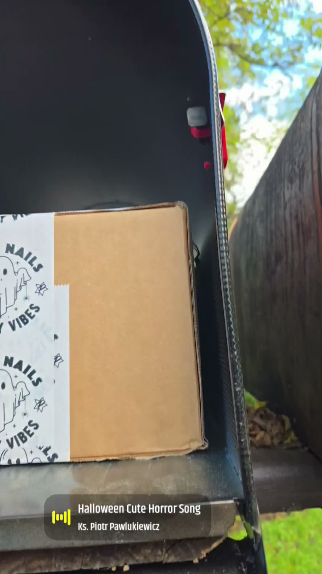 I have been so impatiently waiting for this Halloween package from  PROFiLES! It arrived today and also included some very realistic packaging. 🕷 I thanked the spider for guarding my package and moved him off. I love halloween and can't wait to check out my new goodies!