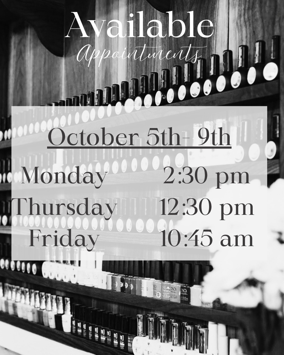 I have appointments available this week! Message me or head over to my booking site to claim your spot!